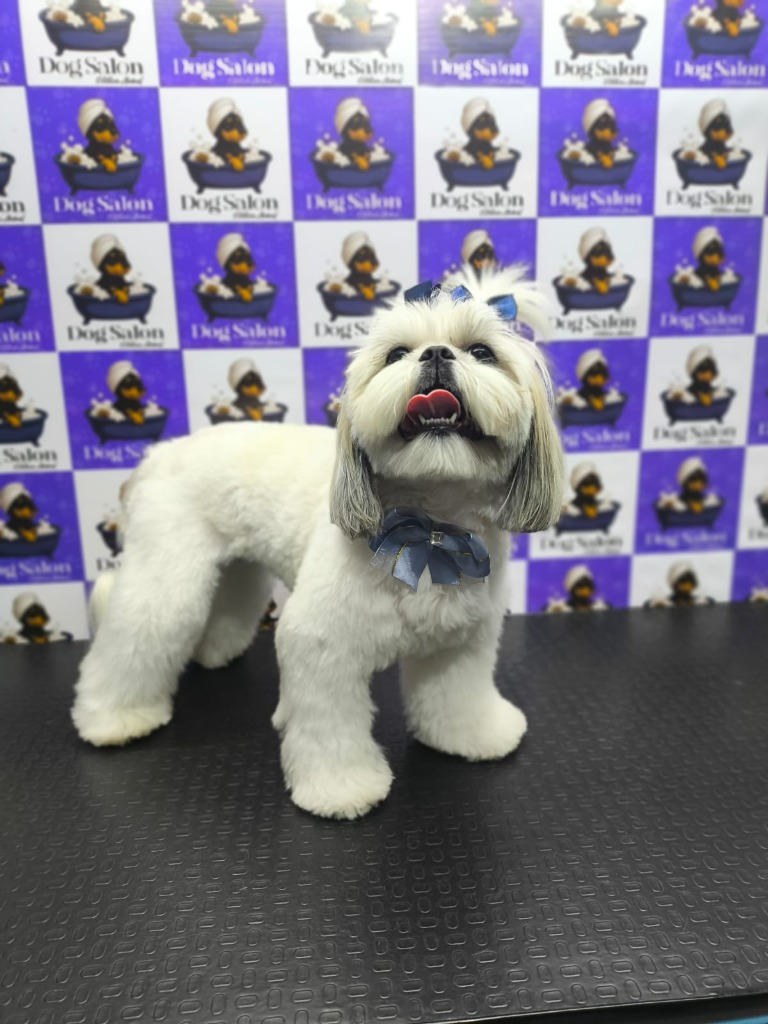 Cliente Dog Salon