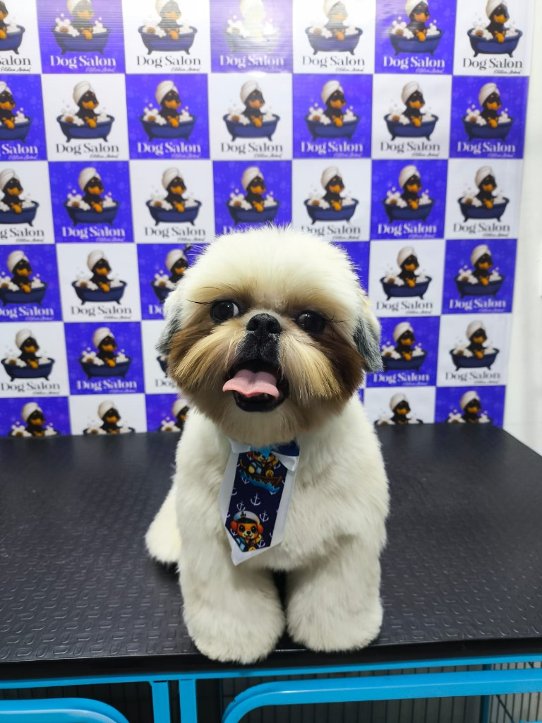 Cliente Dog Salon