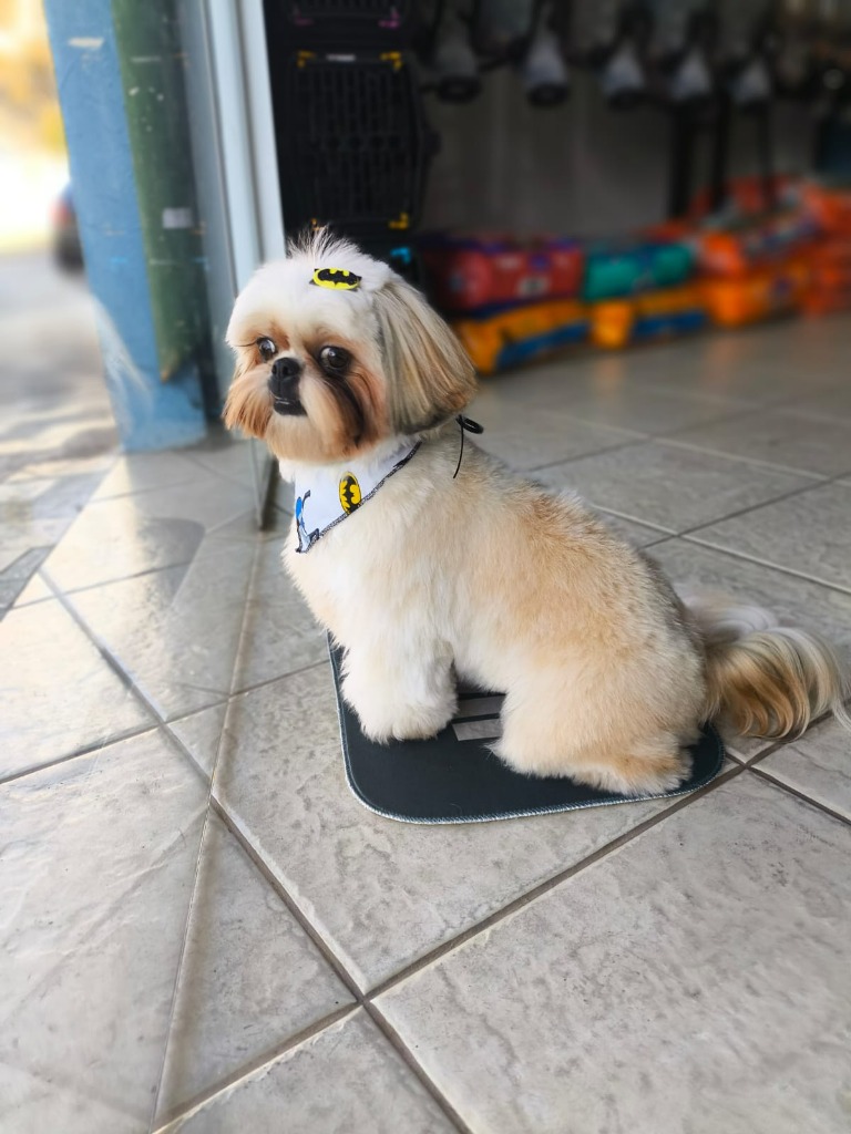 Cliente Dog Salon